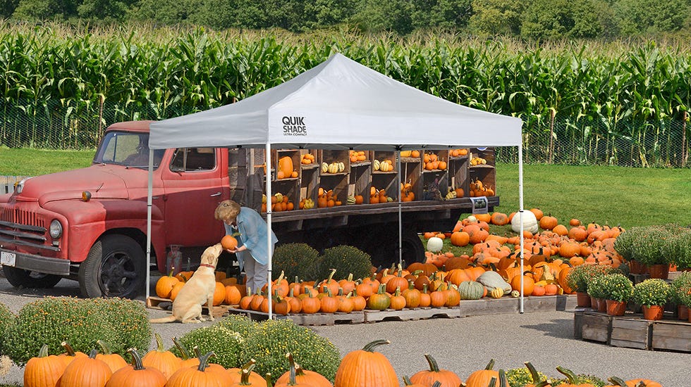 18 Cool and Creative Uses for a Portable Canopy