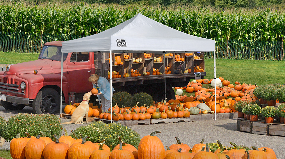 Pumpkin patch canopy