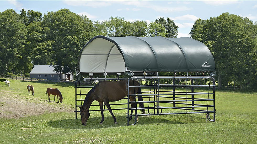 Choosing Shelters for Horses: How to Find the Right Portable Horse Shelters