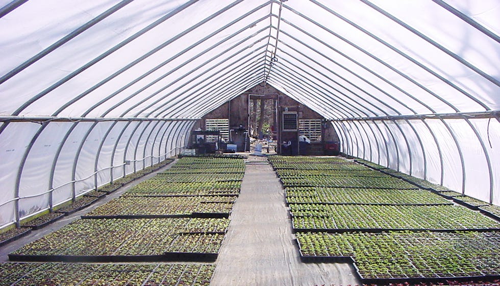 Cold frame greenhouse vegetable garden