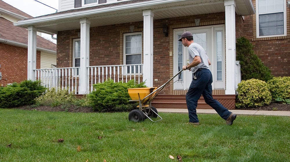 When should you treat your lawn?