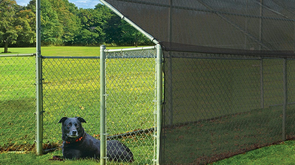 Baseball Windscreen