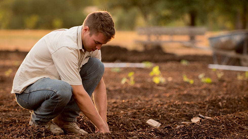 Garden Prep: What to Do in the Offseason