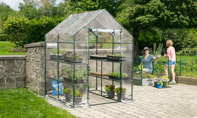 Greenhouse on a patio