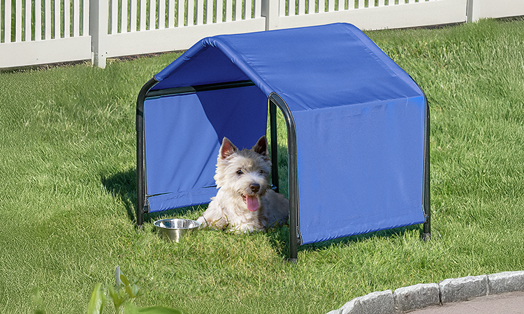Dog Canopy