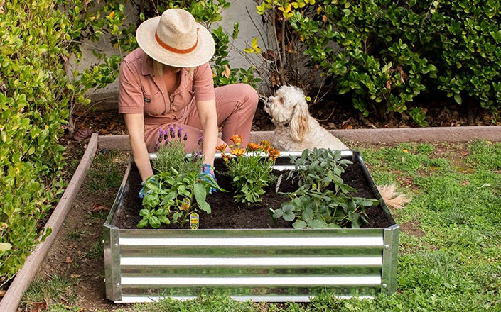 Raised Bed Gardens