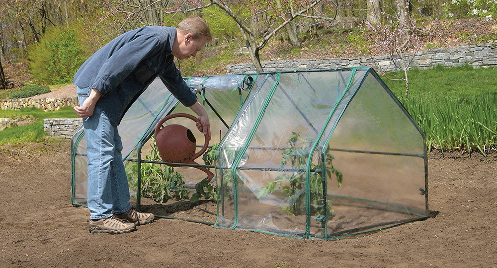 Man watering plants in a greenhouse