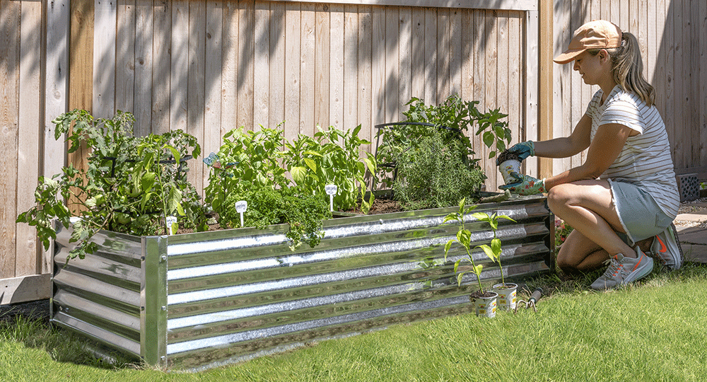 A woman gardening with a Raised Bed Garden