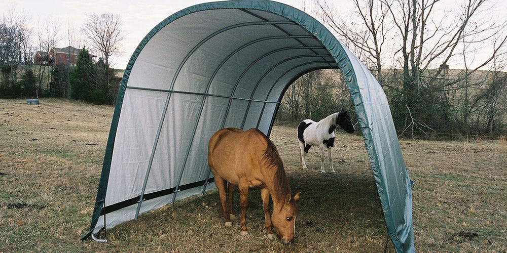 Run-In Shelter for Horses and Livestock