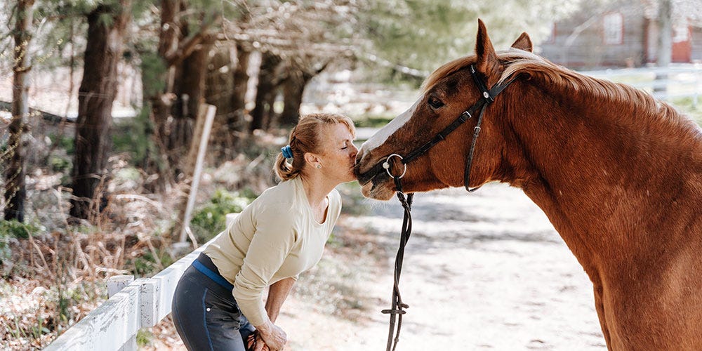 How to Care for Horses in the Fall