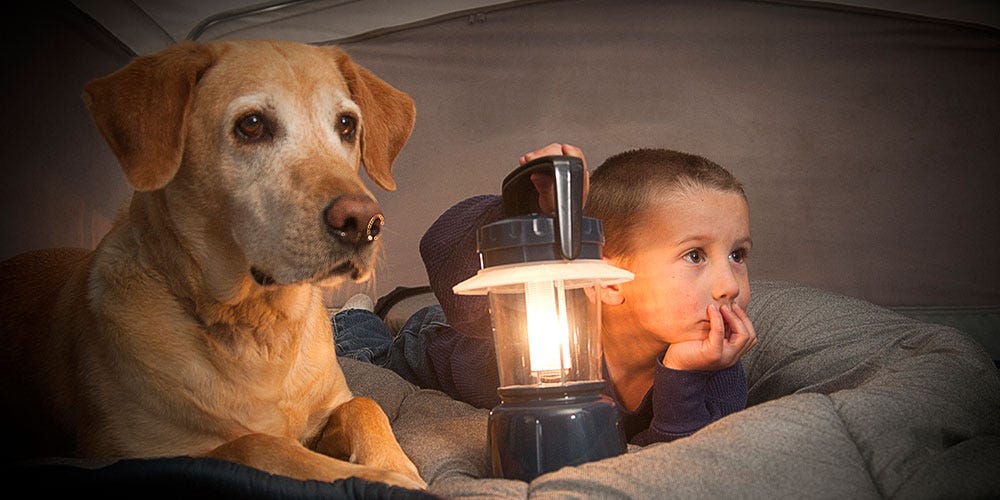 Child and Dog in Tent Child and Dog in Tent