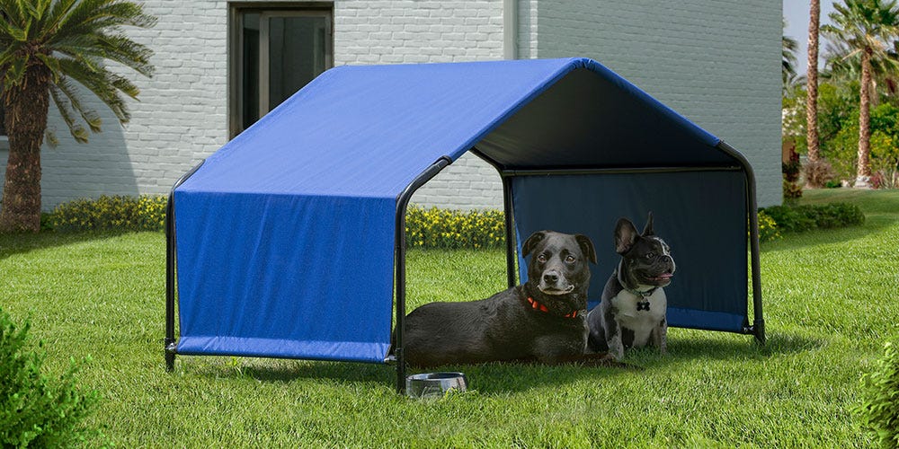 Dog Shade