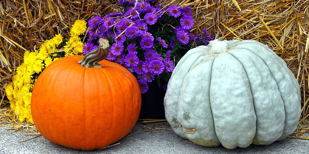 Fall Patio Decorations