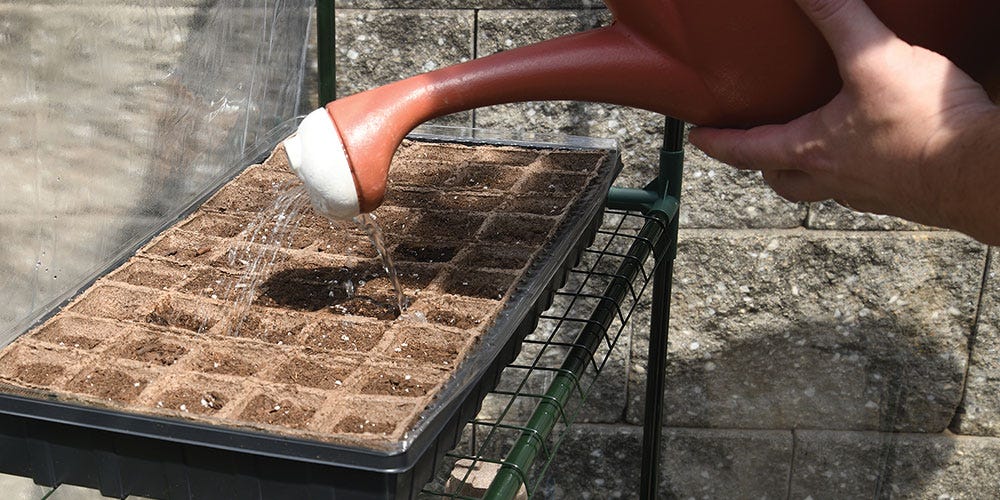 Small Greenhouse Watering Can