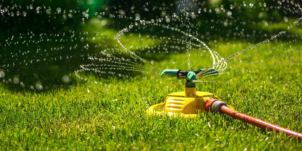 Water the Grass Water the Grass
