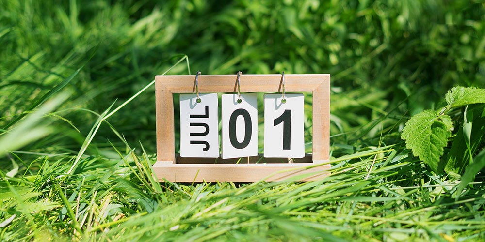 What kind of lawn care schedule should i maintain What kind of lawn care schedule should i maintain