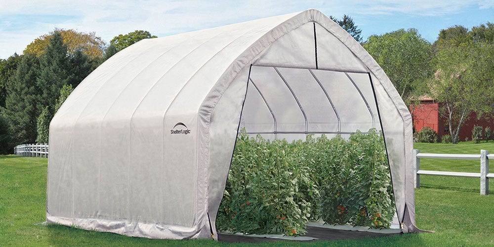 What to grow in a greenhouse large