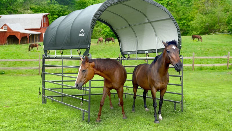 Shop ShelterLogic Run In Shelters, Corral Shelters, ShelterLogic Livestock Sheds  and More