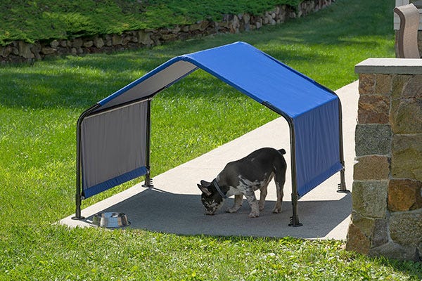 Outdoor dog shade