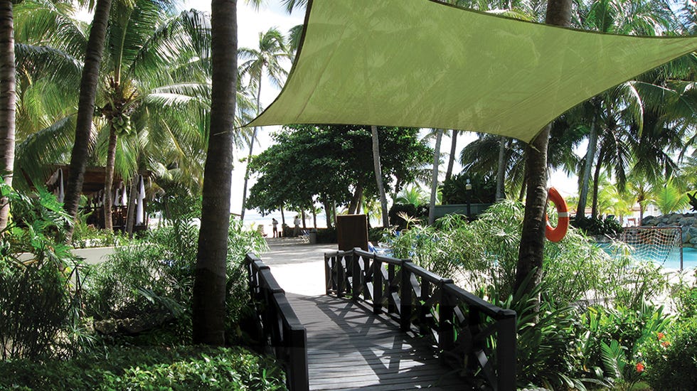 Green Shade Sail Walkway Green Shade Sail Walkway