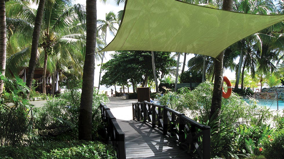 Green Shade Sail Walkway