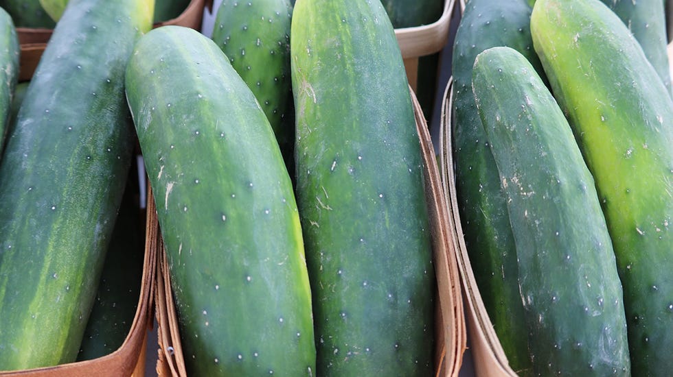 qué cultivar en un invernadero