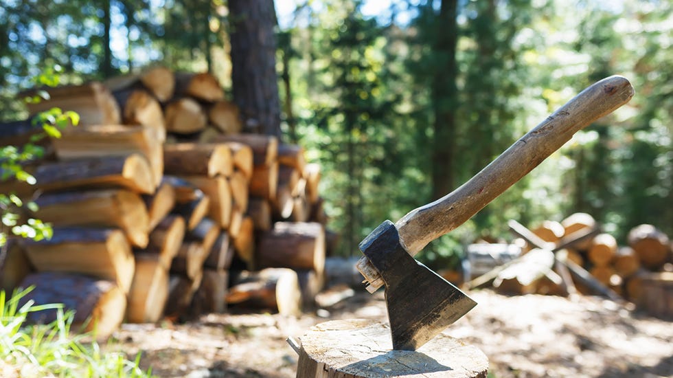 seasoning firewood